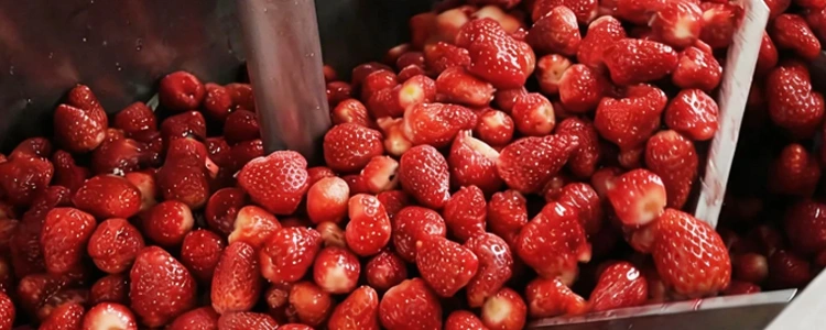 img of Strawberry Jam Production Line